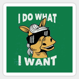 I do what I want horse Magnet